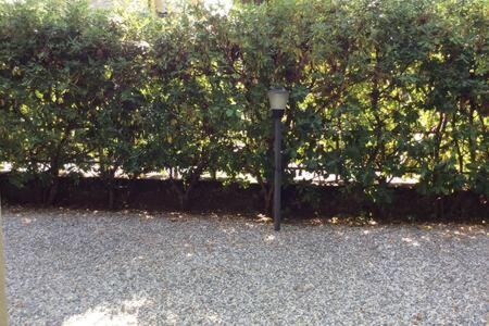 Residence Apuamare Pietrasanta Esterno foto
